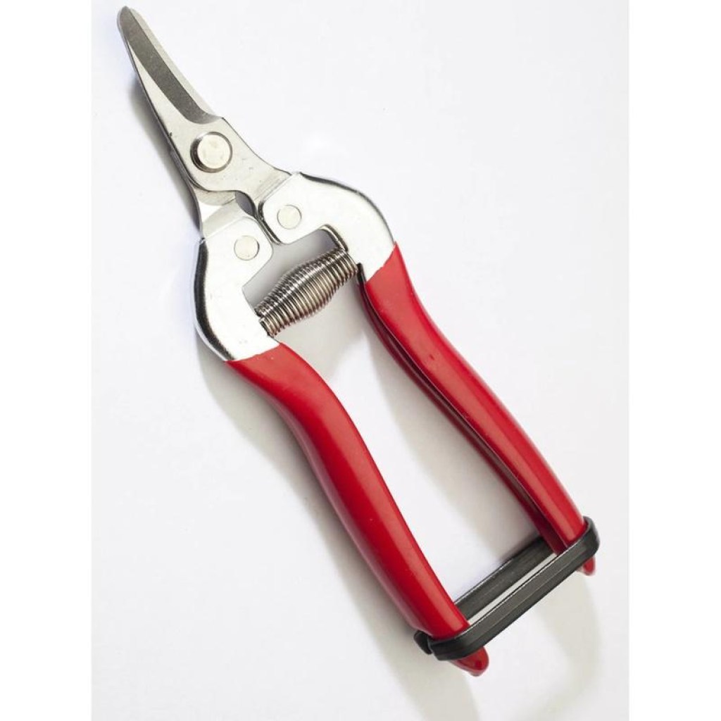 ψαλίδι-συγκομιδής-και-κλαδέματος-μικρό-oem