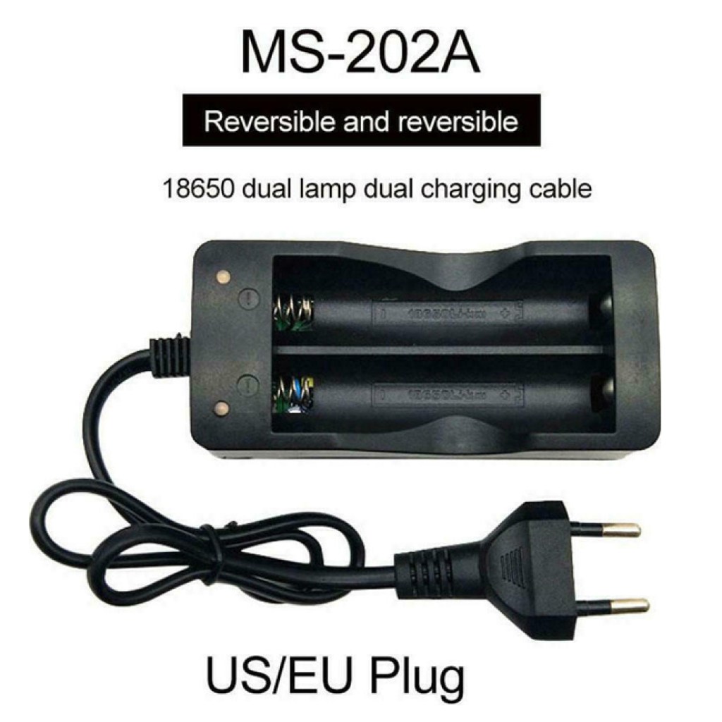 202ms