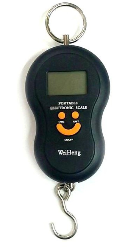 33336031_10216054729949492_2574733486933934080_n