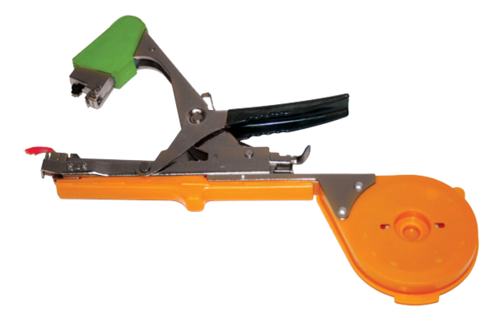 συραπτικό-αμπέλου-τοp-garden