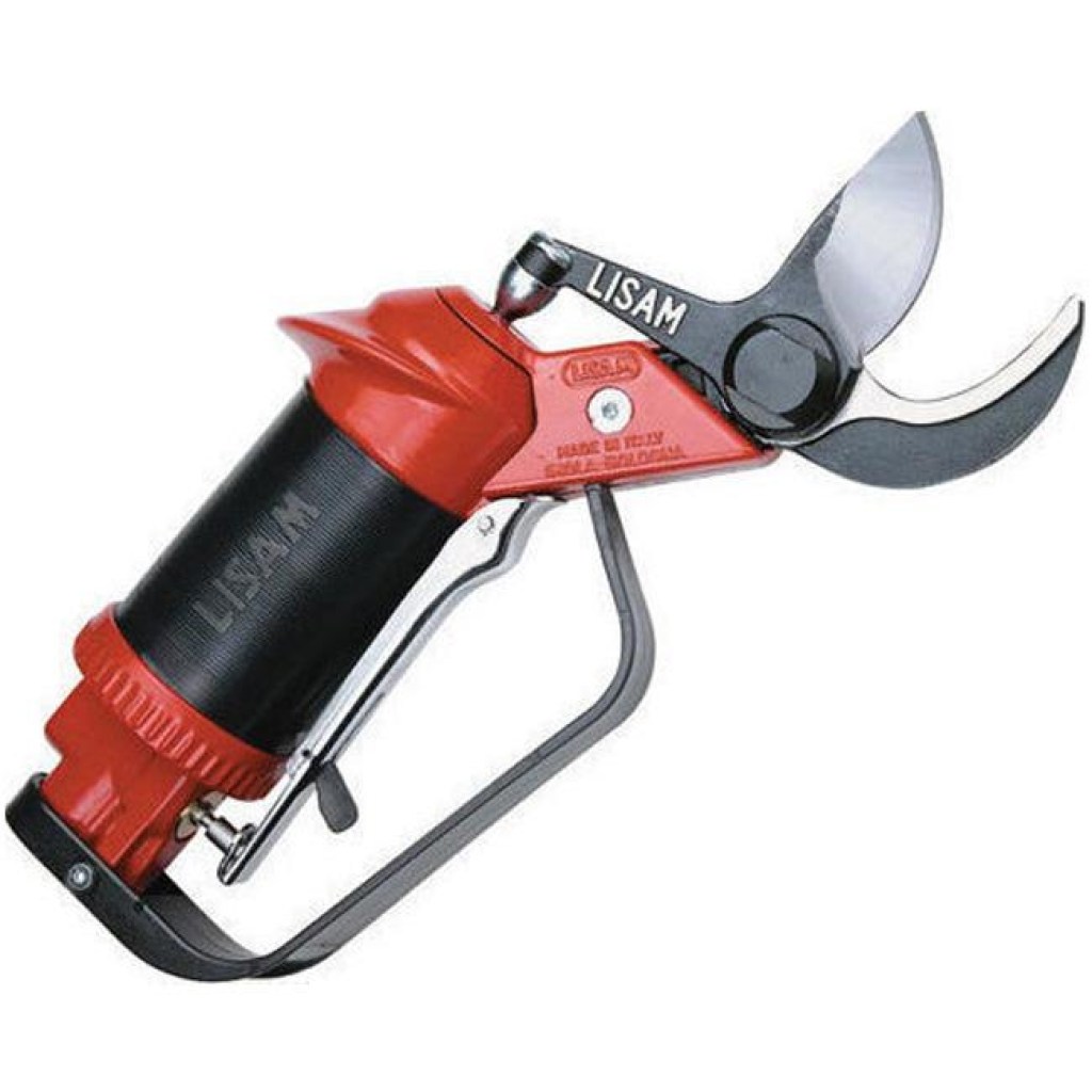 SLY-ASTA LISAM-Αεροψάλιδο Δενδροκομικό 