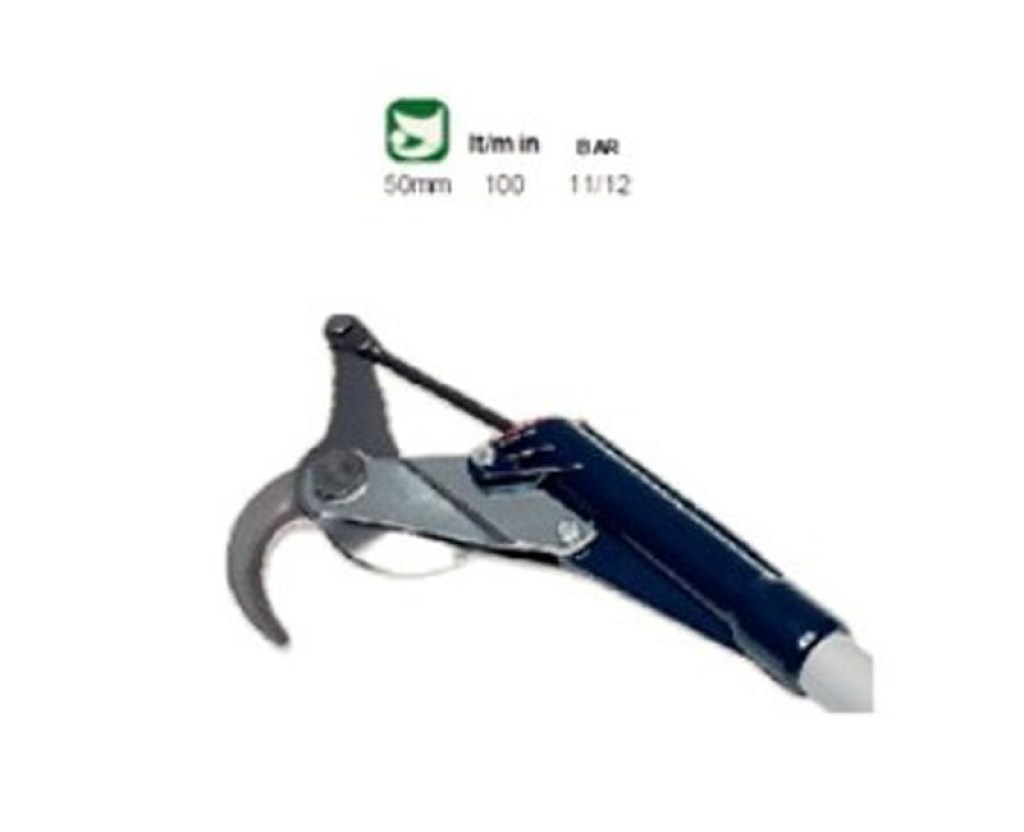 Παπαγαλάκι-Κλαδέματος-Αερος