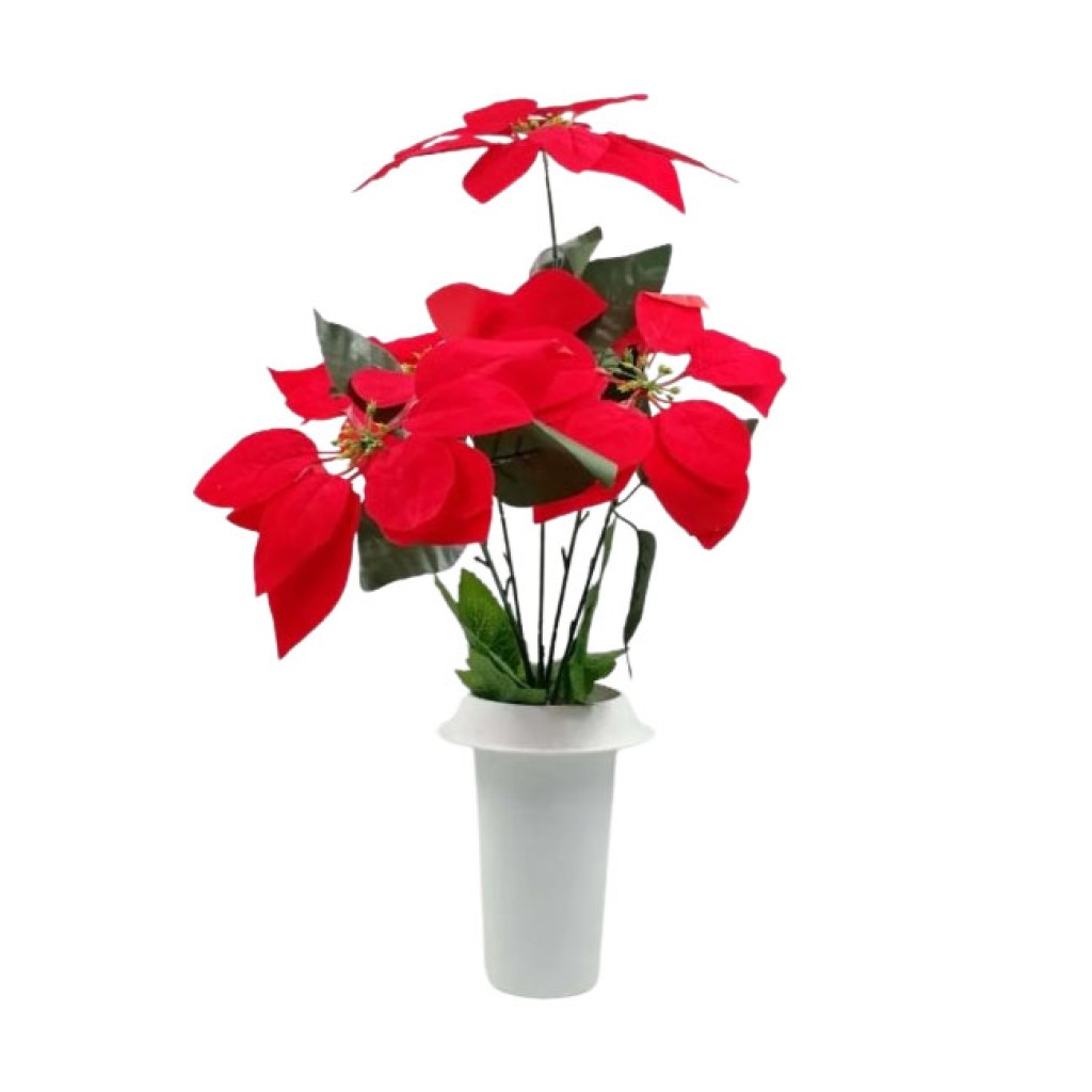 αλεξανδρινό-σε-γλάστρα-50cm-λευκο