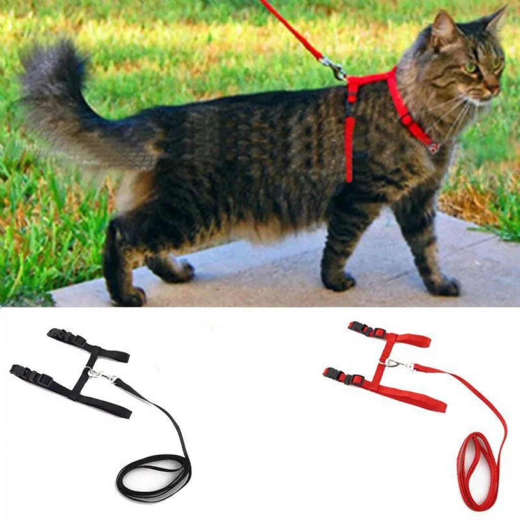 στηθόλουρο-γάτας-cat-leash