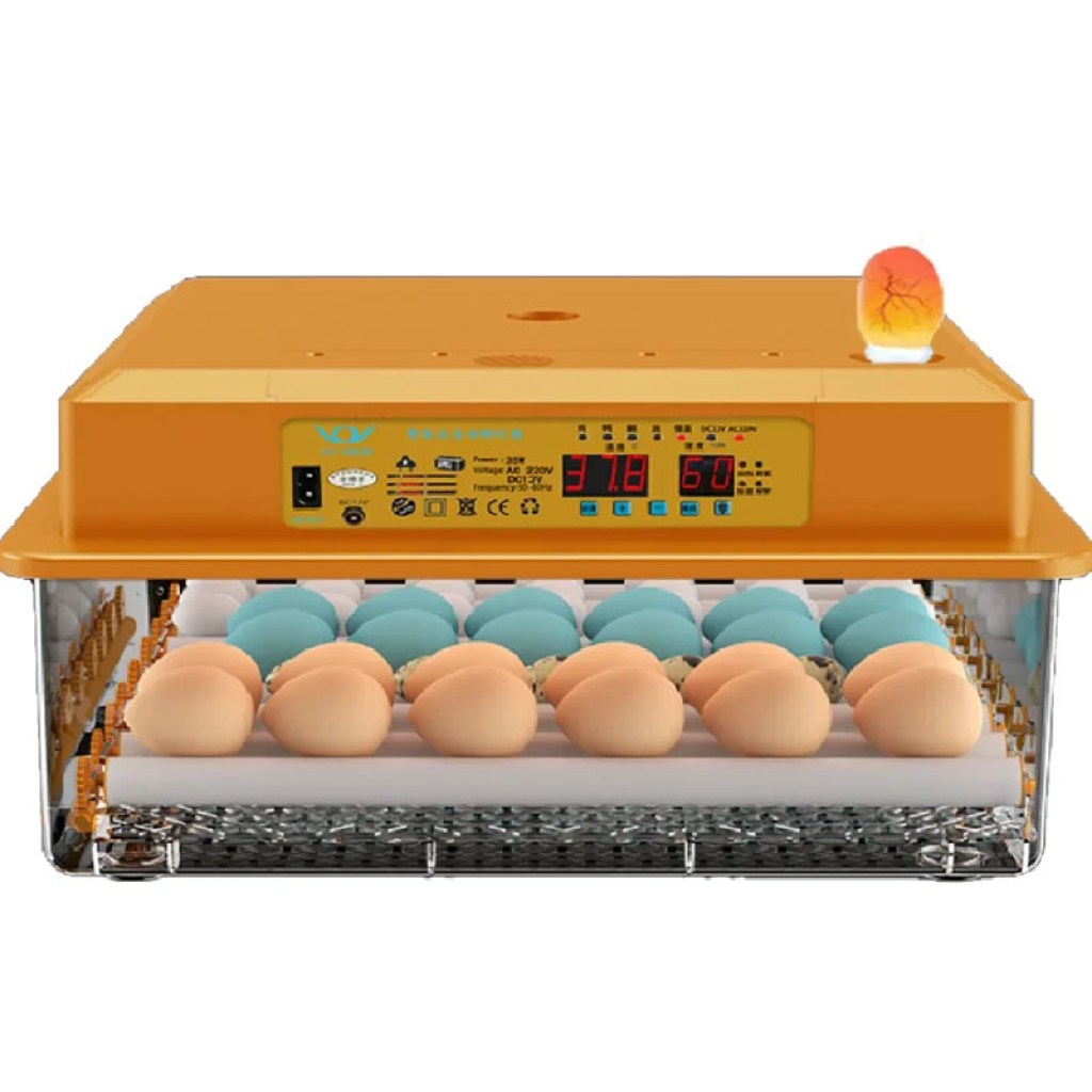 εκκολαπτική-μηχανή-κλωσσομηχανή-36-αυγών