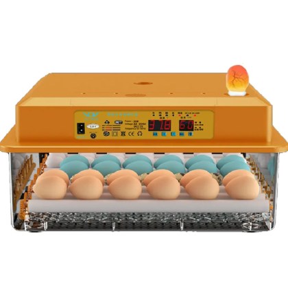 εκκολαπτική-μηχανή-κλωσσομηχανή-36-αυγών