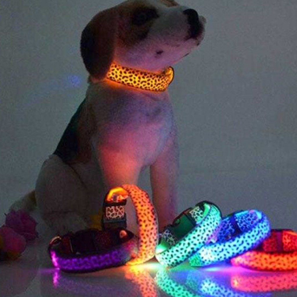 επαναφορτιζόμενο-φωτεινό-περιλαίμιο-κολάρο-σκύλου-2-5cm-σε-διάφορα-χρώματα-s,m,l