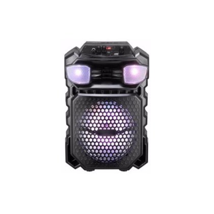 portable outdoor audio.jpg